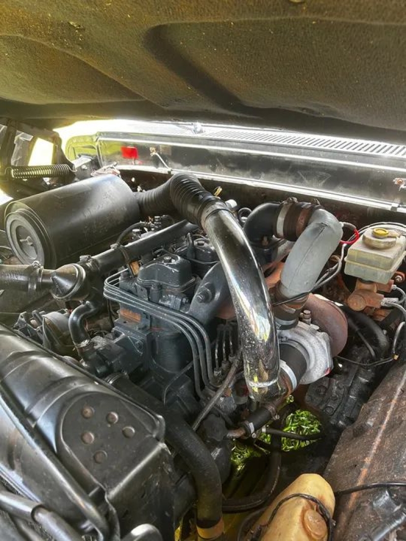 Ford F-1000 S. S. Diesel / S.S. Diesel Turbo