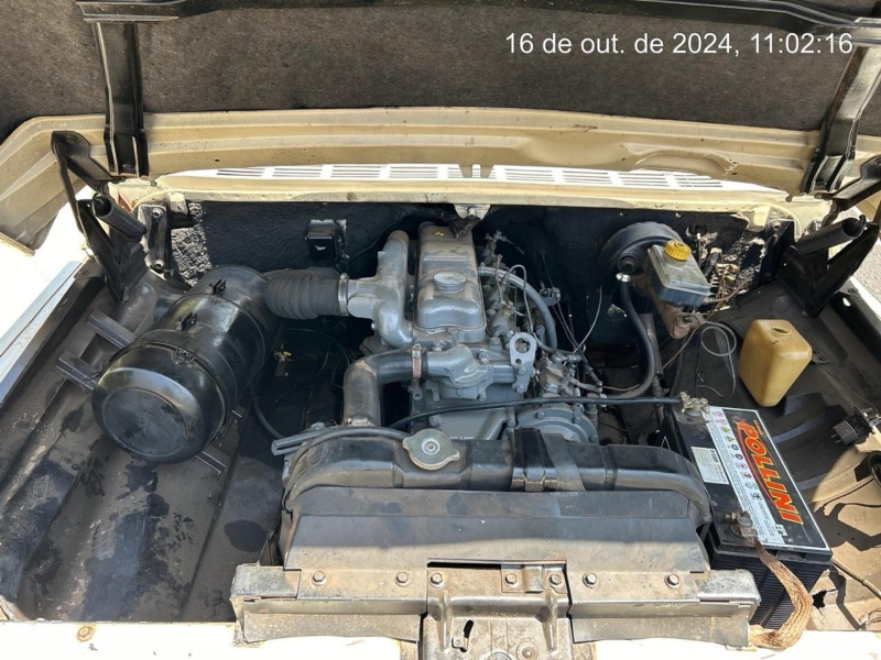 GM - Chevrolet D-10 Diesel