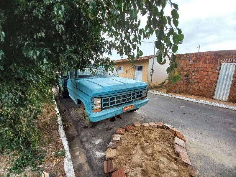 FORD F-4000 4x2 2p (diesel)(E5)