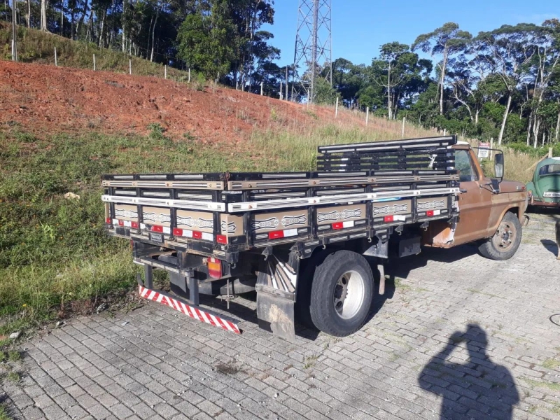 FORD F-4000 4x2 2p (diesel)(E5)